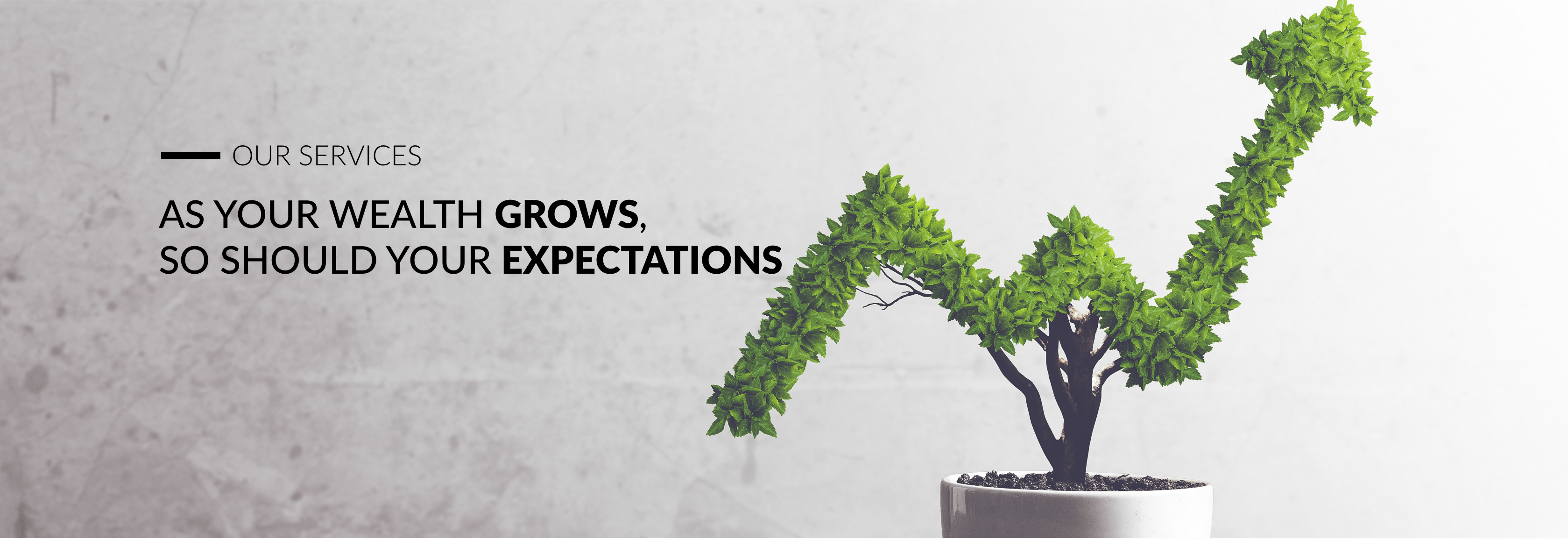 private wealth, investment management, financial planning , group benefits, group pension